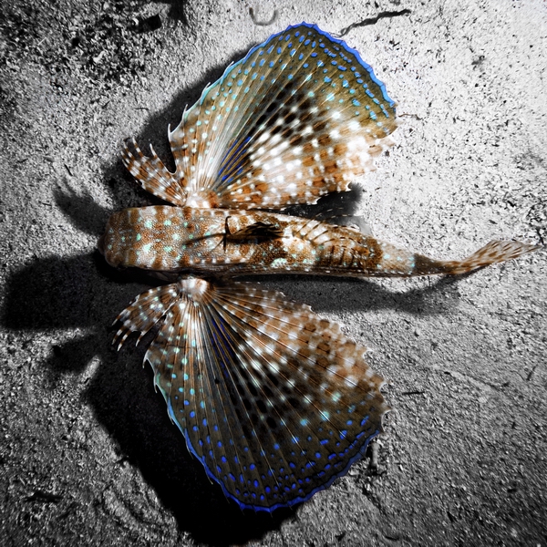 IMG 0542 Bildgr  e  ndern